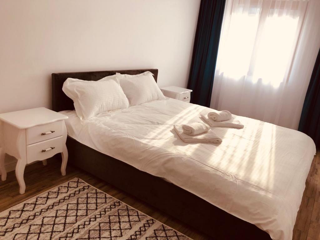 Narcisa Appartement Piatra Neamţ Buitenkant foto